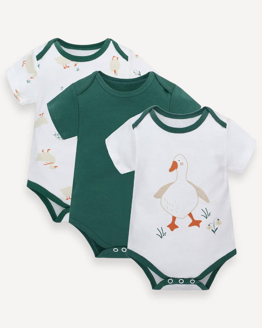 Bodysuit short Sleeves