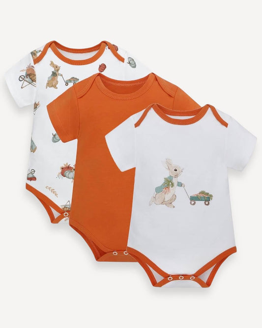 Bodysuit short Sleeves